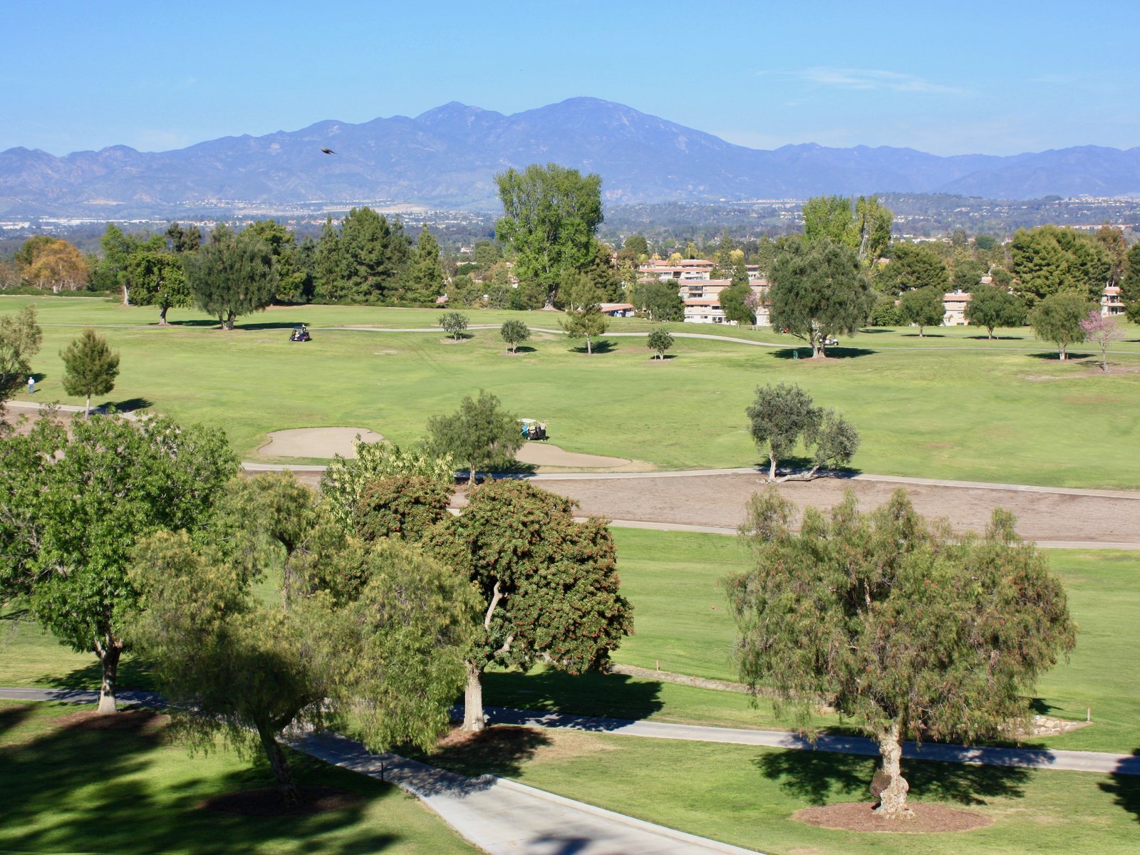 Single-story manors and mature trees along a quiet residential street inside Laguna Woods Village, the gated 55 and over community in Laguna Woods, Orange County.